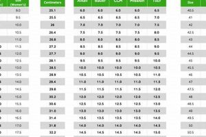 Find Your Fit: The Ultimate Skate Size Chart Guide Safem Fabrication - Precision Engineering & Custom Manufacturing Solutions Find Your Fit: The Ultimate Skate Size Chart Guide | Safem Fabrication - Precision Engineering & Custom Manufacturing Solutions