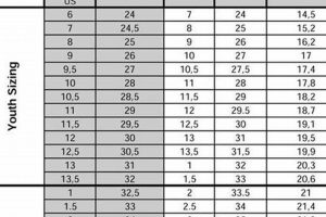 Find Your Perfect Fit: CCM Skate Size Chart Guide Safem Fabrication - Precision Engineering & Custom Manufacturing Solutions Find Your Perfect Fit: CCM Skate Size Chart Guide | Safem Fabrication - Precision Engineering & Custom Manufacturing Solutions