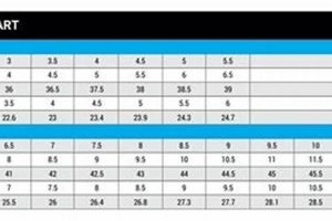 Find Your True Skate Size Chart Fit + Guide Safem Fabrication - Precision Engineering & Custom Manufacturing Solutions Find Your True Skate Size Chart Fit + Guide | Safem Fabrication - Precision Engineering & Custom Manufacturing Solutions