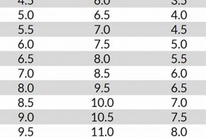 Ice Skate Size Guide: Shoe Size vs. Fit Tips Safem Fabrication - Precision Engineering & Custom Manufacturing Solutions Ice Skate Size Guide: Shoe Size vs. Fit Tips | Safem Fabrication - Precision Engineering & Custom Manufacturing Solutions