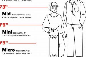 Guide to Skate Sizes: Find Your Perfect Fit! Safem Fabrication - Precision Engineering & Custom Manufacturing Solutions Guide to Skate Sizes: Find Your Perfect Fit! | Safem Fabrication - Precision Engineering & Custom Manufacturing Solutions