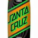 Cruisin' with Santa Cruz Skate Cruisers - The Skater's Choice! | How to Skateboard: A Beginner's Guide to Your First Board & Tricks