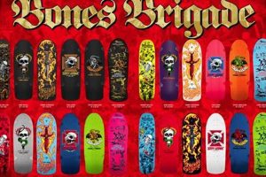 Vintage Bones Brigade Skate Decks: Collectible Classics! Safem Fabrication - Precision Engineering & Custom Manufacturing Solutions Vintage Bones Brigade Skate Decks: Collectible Classics! | Safem Fabrication - Precision Engineering & Custom Manufacturing Solutions