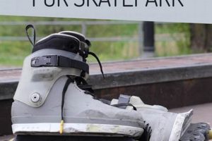 Best Park Inline Skates: Gear & Tricks Safem Fabrication - Precision Engineering & Custom Manufacturing Solutions Best Park Inline Skates: Gear & Tricks | Safem Fabrication - Precision Engineering & Custom Manufacturing Solutions