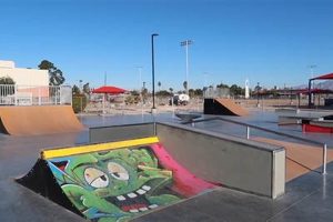 Best Skate Shop in Las Vegas, NV: Gear & More! Safem Fabrication - Precision Engineering & Custom Manufacturing Solutions Best Skate Shop in Las Vegas, NV: Gear & More! | Safem Fabrication - Precision Engineering & Custom Manufacturing Solutions