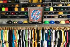 Seasons Skate Shop Albany NY: Gear Up & Shred Local! Safem Fabrication - Precision Engineering & Custom Manufacturing Solutions Seasons Skate Shop Albany NY: Gear Up & Shred Local! | Safem Fabrication - Precision Engineering & Custom Manufacturing Solutions