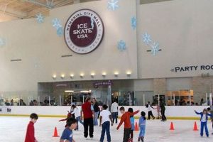 Houston Ice: Ice Skate USA Lessons & Fun! Safem Fabrication - Precision Engineering & Custom Manufacturing Solutions Houston Ice: Ice Skate USA Lessons & Fun! | Safem Fabrication - Precision Engineering & Custom Manufacturing Solutions