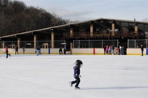 Discover North Park Ice Skate Fun: Deals & More! Safem Fabrication - Precision Engineering & Custom Manufacturing Solutions Discover North Park Ice Skate Fun: Deals & More! | Safem Fabrication - Precision Engineering & Custom Manufacturing Solutions