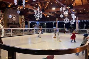 Your Guide to Ice Skate Charleston Fun & Rinks Safem Fabrication - Precision Engineering & Custom Manufacturing Solutions Your Guide to Ice Skate Charleston Fun & Rinks | Safem Fabrication - Precision Engineering & Custom Manufacturing Solutions