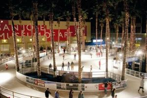 San Jose's Christmas Ice: Skate Park Fun! Safem Fabrication - Precision Engineering & Custom Manufacturing Solutions San Jose's Christmas Ice: Skate Park Fun! | Safem Fabrication - Precision Engineering & Custom Manufacturing Solutions