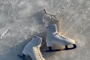 Beyond Utility: Ice Skates Aesthetic - Style on Ice Safem Fabrication - Precision Engineering & Custom Manufacturing Solutions Beyond Utility: Ice Skates Aesthetic - Style on Ice | Safem Fabrication - Precision Engineering & Custom Manufacturing Solutions