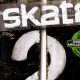 Skate 2 360: Pro Tips & Tricks for Mastering Spins! | How to Skateboard: A Beginner's Guide to Your First Board & Tricks