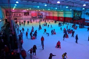 Find an Ice Skating Public Skate Near Me: Rinks & Fun! Safem Fabrication - Precision Engineering & Custom Manufacturing Solutions Find an Ice Skating Public Skate Near Me: Rinks & Fun! | Safem Fabrication - Precision Engineering & Custom Manufacturing Solutions