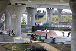 Best Boston Skate Park: Find Your Ride! Safem Fabrication - Precision Engineering & Custom Manufacturing Solutions Best Boston Skate Park: Find Your Ride! | Safem Fabrication - Precision Engineering & Custom Manufacturing Solutions