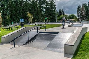 Best Skatepark Skates: Gear Up, Shred Now! Safem Fabrication - Precision Engineering & Custom Manufacturing Solutions Best Skatepark Skates: Gear Up, Shred Now! | Safem Fabrication - Precision Engineering & Custom Manufacturing Solutions