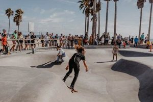 Best Cal Skate Decks: Find Your Perfect Ride! Safem Fabrication - Precision Engineering & Custom Manufacturing Solutions Best Cal Skate Decks: Find Your Perfect Ride! | Safem Fabrication - Precision Engineering & Custom Manufacturing Solutions