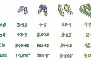 Skate Size Guide: Are Skate Sizes the Same as Shoe Sizes? Safem Fabrication - Precision Engineering & Custom Manufacturing Solutions Skate Size Guide: Are Skate Sizes the Same as Shoe Sizes? | Safem Fabrication - Precision Engineering & Custom Manufacturing Solutions