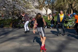 Explore: Central Park Skate Park Guide & More! Safem Fabrication - Precision Engineering & Custom Manufacturing Solutions Explore: Central Park Skate Park Guide & More! | Safem Fabrication - Precision Engineering & Custom Manufacturing Solutions