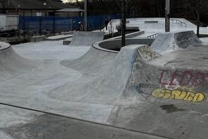 Providence Skate Park RI: Ride It Out! Safem Fabrication - Precision Engineering & Custom Manufacturing Solutions Providence Skate Park RI: Ride It Out! | Safem Fabrication - Precision Engineering & Custom Manufacturing Solutions