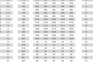 Find Your Fit: Kids Ice Skate Size Chart Guide Safem Fabrication - Precision Engineering & Custom Manufacturing Solutions Find Your Fit: Kids Ice Skate Size Chart Guide | Safem Fabrication - Precision Engineering & Custom Manufacturing Solutions