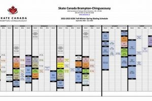 Your Ultimate Figure Skate Schedule + Planner Safem Fabrication - Precision Engineering & Custom Manufacturing Solutions Your Ultimate Figure Skate Schedule + Planner | Safem Fabrication - Precision Engineering & Custom Manufacturing Solutions
