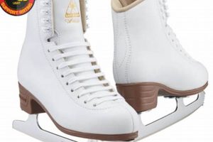 Beyond Blades: Jackson Ice Skates Artiste on Ice Safem Fabrication - Precision Engineering & Custom Manufacturing Solutions Beyond Blades: Jackson Ice Skates Artiste on Ice | Safem Fabrication - Precision Engineering & Custom Manufacturing Solutions