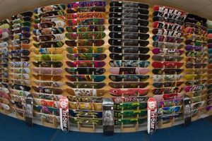 Tristar Skate Shop: Your Premier Skateboarding Destination! Safem Fabrication - Precision Engineering & Custom Manufacturing Solutions Tristar Skate Shop: Your Premier Skateboarding Destination! | Safem Fabrication - Precision Engineering & Custom Manufacturing Solutions