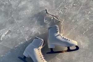Chic Aesthetic Ice Skates: Style on Ice! Safem Fabrication - Precision Engineering & Custom Manufacturing Solutions Chic Aesthetic Ice Skates: Style on Ice! | Safem Fabrication - Precision Engineering & Custom Manufacturing Solutions