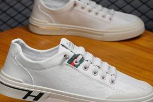 Shop Stylish Business Casual Skate Shoes Today! Safem Fabrication - Precision Engineering & Custom Manufacturing Solutions Shop Stylish Business Casual Skate Shoes Today! | Safem Fabrication - Precision Engineering & Custom Manufacturing Solutions