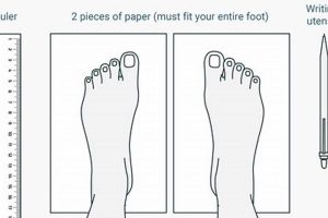Find Your Fit: Roller Skates Size Chart Guide + Tips Safem Fabrication - Precision Engineering & Custom Manufacturing Solutions Find Your Fit: Roller Skates Size Chart Guide + Tips | Safem Fabrication - Precision Engineering & Custom Manufacturing Solutions