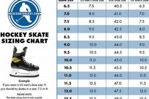 Your Ultimate Skate Size Guide: Find the Perfect Fit! Safem Fabrication - Precision Engineering & Custom Manufacturing Solutions Your Ultimate Skate Size Guide: Find the Perfect Fit! | Safem Fabrication - Precision Engineering & Custom Manufacturing Solutions