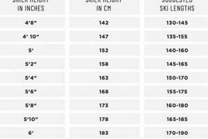 Finding Your Fit: What Size Skate Skis Do I Need? Guide Safem Fabrication - Precision Engineering & Custom Manufacturing Solutions Finding Your Fit: What Size Skate Skis Do I Need? Guide | Safem Fabrication - Precision Engineering & Custom Manufacturing Solutions