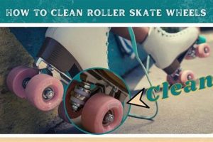 How To Clean Skate Wheels (+Maintenance Tips) Safem Fabrication - Precision Engineering & Custom Manufacturing Solutions How To Clean Skate Wheels (+Maintenance Tips) | Safem Fabrication - Precision Engineering & Custom Manufacturing Solutions