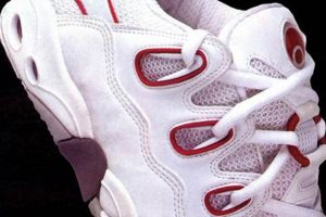 Vintage Osiris Skate Shoes: Collect, Restore, Ride! Safem Fabrication - Precision Engineering & Custom Manufacturing Solutions Vintage Osiris Skate Shoes: Collect, Restore, Ride! | Safem Fabrication - Precision Engineering & Custom Manufacturing Solutions