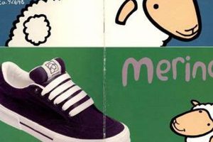 Best Sheep Skate Shoes: Grip & Style For Skaters! Safem Fabrication - Precision Engineering & Custom Manufacturing Solutions Best Sheep Skate Shoes: Grip & Style For Skaters! | Safem Fabrication - Precision Engineering & Custom Manufacturing Solutions