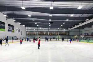 Where to Ice Skate Fort Wayne? Rinks & Programs Safem Fabrication - Precision Engineering & Custom Manufacturing Solutions Where to Ice Skate Fort Wayne? Rinks & Programs | Safem Fabrication - Precision Engineering & Custom Manufacturing Solutions