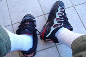 Retro Kicks: Skate Shoes of the Early 2000s & Beyond! Safem Fabrication - Precision Engineering & Custom Manufacturing Solutions Retro Kicks: Skate Shoes of the Early 2000s & Beyond! | Safem Fabrication - Precision Engineering & Custom Manufacturing Solutions