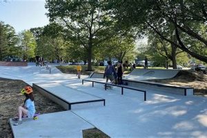 Best Portland Skate Parks: Your Local Guide & More! Safem Fabrication - Precision Engineering & Custom Manufacturing Solutions Best Portland Skate Parks: Your Local Guide & More! | Safem Fabrication - Precision Engineering & Custom Manufacturing Solutions