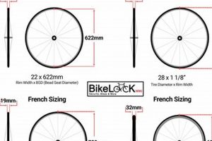Understanding Roller Skate Wheel Dimensions: Size & Speed Safem Fabrication - Precision Engineering & Custom Manufacturing Solutions Understanding Roller Skate Wheel Dimensions: Size & Speed | Safem Fabrication - Precision Engineering & Custom Manufacturing Solutions