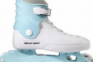 Best Rolling Bunny Inline Skates + Fun Styles! Safem Fabrication - Precision Engineering & Custom Manufacturing Solutions Best Rolling Bunny Inline Skates + Fun Styles! | Safem Fabrication - Precision Engineering & Custom Manufacturing Solutions