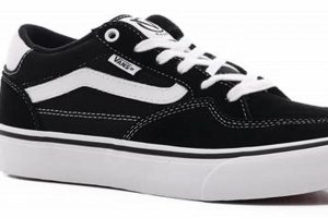 Best Pro Skate Vans: Performance & Style For Pros! Safem Fabrication - Precision Engineering & Custom Manufacturing Solutions Best Pro Skate Vans: Performance & Style For Pros! | Safem Fabrication - Precision Engineering & Custom Manufacturing Solutions