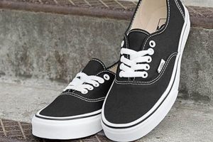 Best Vans Authentic Skate Shoe: Review & Guide Safem Fabrication - Precision Engineering & Custom Manufacturing Solutions Best Vans Authentic Skate Shoe: Review & Guide | Safem Fabrication - Precision Engineering & Custom Manufacturing Solutions