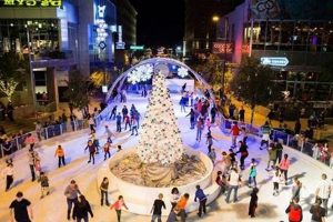 Phoenix City Skate Ice Rink: Prices & Schedule Info Safem Fabrication - Precision Engineering & Custom Manufacturing Solutions Phoenix City Skate Ice Rink: Prices & Schedule Info | Safem Fabrication - Precision Engineering & Custom Manufacturing Solutions
