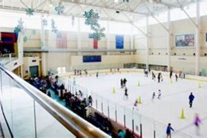 Glide & Shop: Ice Skate at Memorial City Mall Fun! Safem Fabrication - Precision Engineering & Custom Manufacturing Solutions Glide & Shop: Ice Skate at Memorial City Mall Fun! | Safem Fabrication - Precision Engineering & Custom Manufacturing Solutions