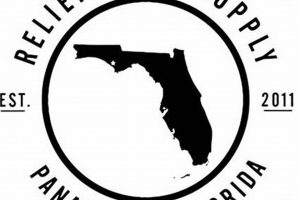 Your Panama City Skate HQ: Relief Skate Supply Safem Fabrication - Precision Engineering & Custom Manufacturing Solutions Your Panama City Skate HQ: Relief Skate Supply | Safem Fabrication - Precision Engineering & Custom Manufacturing Solutions