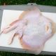 Skate Fish Smell: Is It Fresh? Tips &amp; Tricks | How to Skateboard: A Beginner's Guide to Your First Board & Tricks