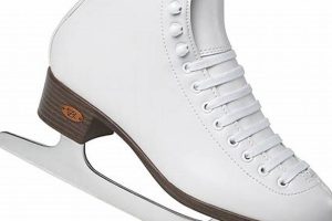 Best Women's Riedell Ice Skates: Guide & Reviews Safem Fabrication - Precision Engineering & Custom Manufacturing Solutions Best Women's Riedell Ice Skates: Guide & Reviews | Safem Fabrication - Precision Engineering & Custom Manufacturing Solutions