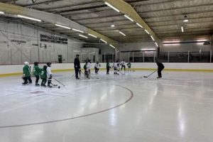 Your Guide: Skate Rink Stockton Fun & More! Safem Fabrication - Precision Engineering & Custom Manufacturing Solutions Your Guide: Skate Rink Stockton Fun & More! | Safem Fabrication - Precision Engineering & Custom Manufacturing Solutions