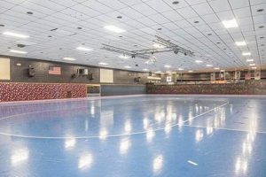 Buy a Rink: Skate Rink for Sale - Investment Opp! Safem Fabrication - Precision Engineering & Custom Manufacturing Solutions Buy a Rink: Skate Rink for Sale - Investment Opp! | Safem Fabrication - Precision Engineering & Custom Manufacturing Solutions