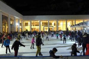 Athens Skate Rink: Glide & Groove in Athens! Safem Fabrication - Precision Engineering & Custom Manufacturing Solutions Athens Skate Rink: Glide & Groove in Athens! | Safem Fabrication - Precision Engineering & Custom Manufacturing Solutions